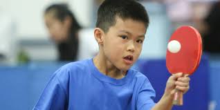 Image result for Fastbats Table Tennis Club