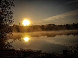 Image result for Woking & District Angling Association
