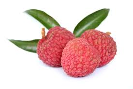 Attēlu rezultāti vaicājumam “Linaria loeselii fruit”