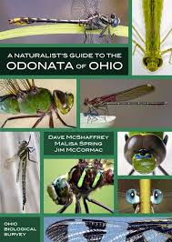 Attēlu rezultāti vaicājumam “Odonata”