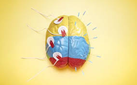 Image result for seotonie