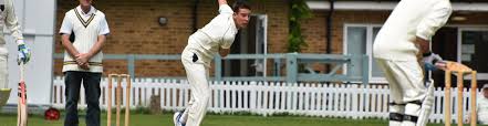 Image result for Hook Norton Junior Cricket Club