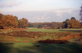 Image result for Walton Heath Golf Club