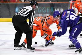 Image result for Sheffield Wildcats Rink Hockey and Roller Skating Club