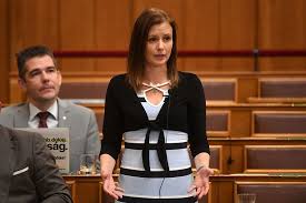 Image result for dúró dóra