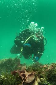 Image result for Chesham Sub Aqua