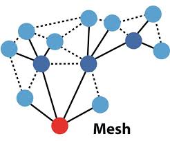 Image result for mesh network