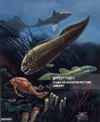 Attēlu rezultāti vaicājumam “Placodermi”