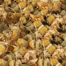 Image result for Matricaria recutita (chamomilla)