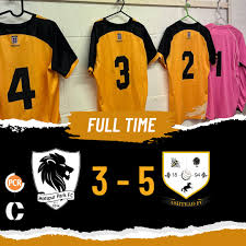 Image result for Ashtead Football Club