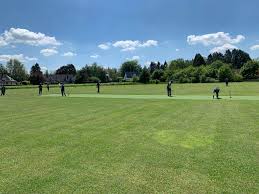 Image result for Bere Regis Cricket Club