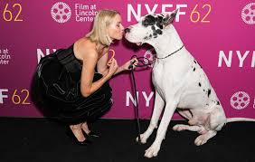 Image result for Maclaren Easy Traveller Naomi Watts