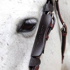 Image result for scheuklappen