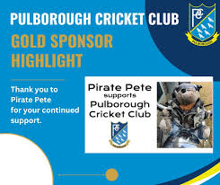 Image result for Pulborough Cricket Club