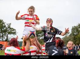 Image result for Bideford Rugby Football Club