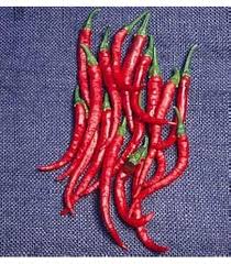 Afbeeldingsresultaat voor joe long cayenne hot pepper