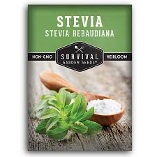 Image result for Stevia rebaudiana