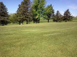 Image result for City Of Preston Gc