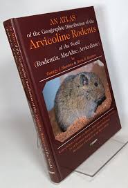 Attēlu rezultāti vaicājumam “Rodentia”