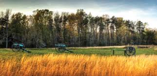 Image result for Hazel Grove