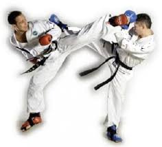 Image result for Kenshukai Karate