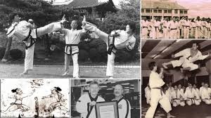Image result for Dujon Tae Kwon Do