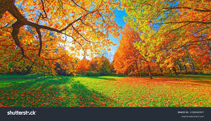 Image result for photos