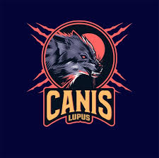 Image result for wolf logo