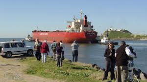 Image result for Pasha bulker