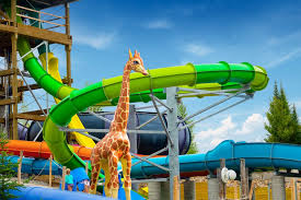 Image result for New Forest Water Park