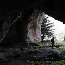 Image result for www.diariosur.es