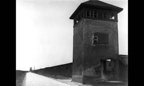 Image result for Chard Holocaust
