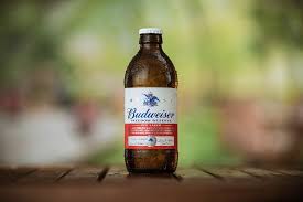 Image result for budweiser