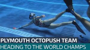 Image result for Worcester Divers Octopush Club