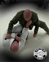 Image result for Bushido Academy Of Martial Arts (Bama)
