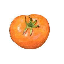 Afbeeldingsresultaat voor caro rich tomato