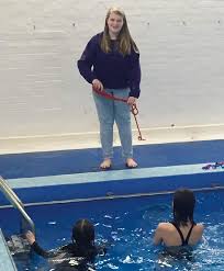 Image result for Swansea Finswimming Club
