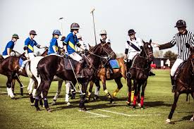 Image result for Kirtlington Park Polo Club