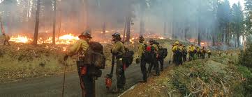 Image result for Hotshots