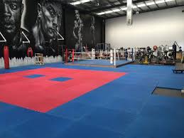 Image result for Martial Art Centre of Excellence