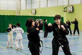 Image result for Bytomic Taekwondo