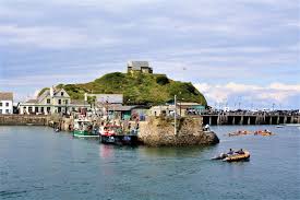 Image result for Ilfracombe Orcas Octopush Club