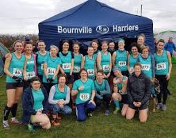 Image result for Cheltenham and County Harriers