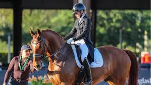 Image result for Fisher Equestrian