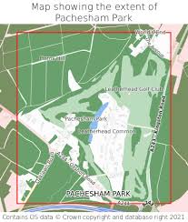 Image result for Pachesham Park Golf Centre