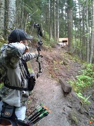 Image result for Silver Arrow Archery