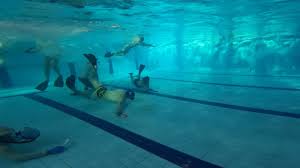 Image result for Inverness Octopush Club