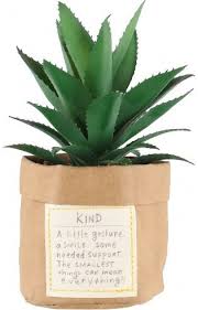 Image result for Mehikasvi