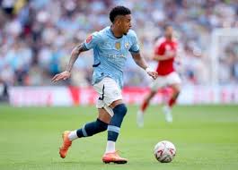 Image result for Manchester City Football Club