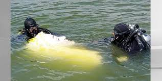 Image result for Tornado Divers